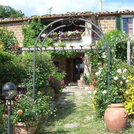 Le Querciolaie Monte Cavallo - Upper Apartment Saturnia Exterior foto